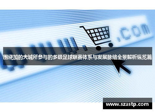 围绕加的夫城所参与的多级足球联赛体系与发展脉络全景解析纵览篇