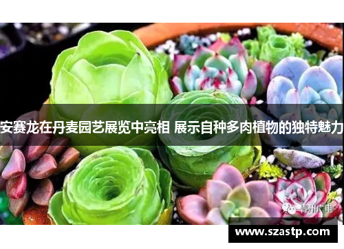 安赛龙在丹麦园艺展览中亮相 展示自种多肉植物的独特魅力