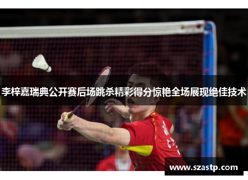 李梓嘉瑞典公开赛后场跳杀精彩得分惊艳全场展现绝佳技术 李梓嘉瑞典公开赛后场跳杀精彩得分惊艳全场展现绝佳技术